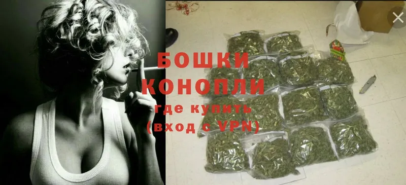 Конопля OG Kush  Озёры 